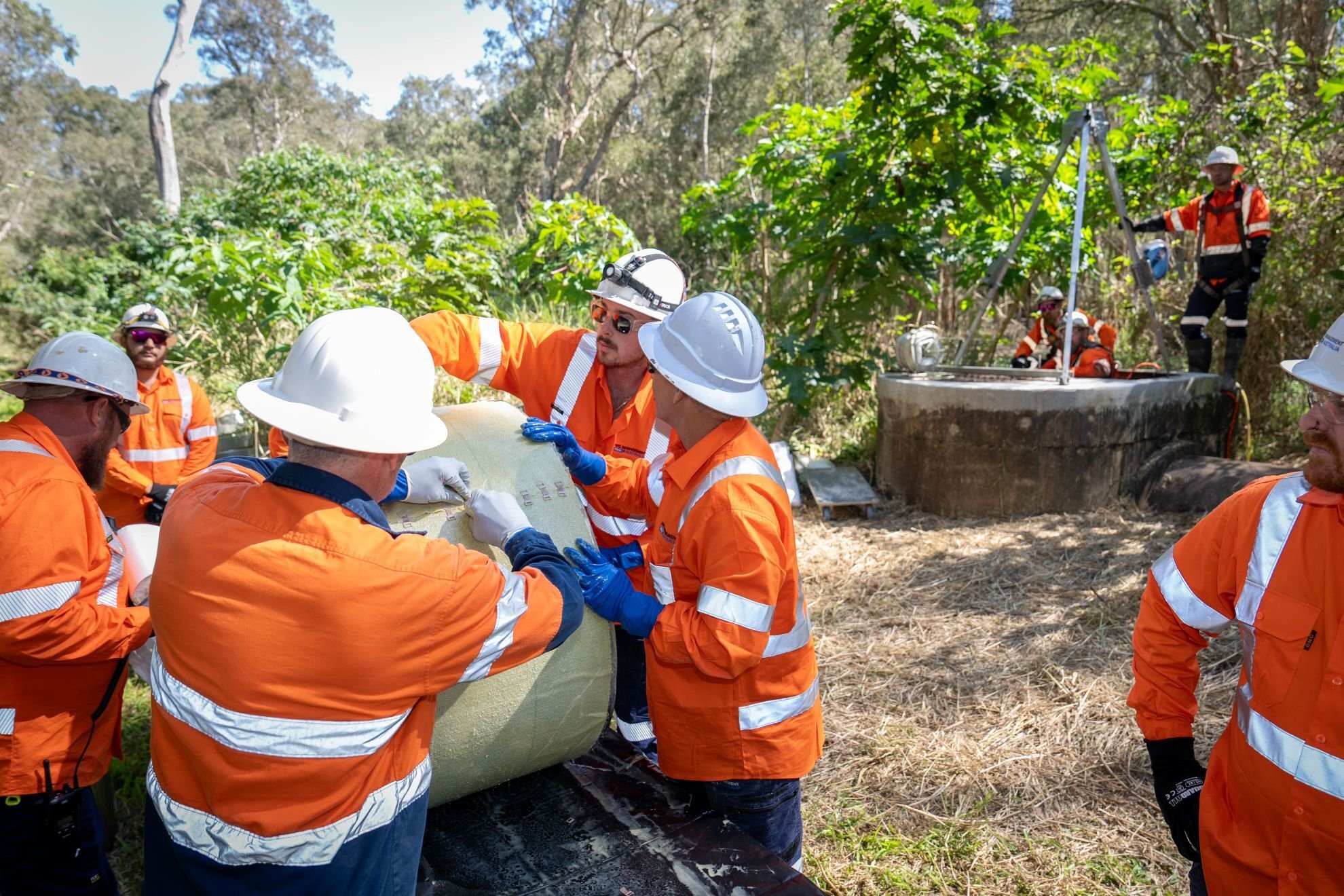 PMA - Sept 2025 - 172web