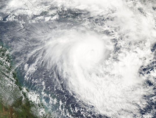 Supporting SEQ: PMA's Role in Cyclone Alfred Preparedness and Recovery image