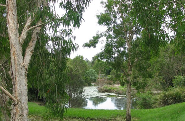 BRISBANE CITY COUNCIL: YORK’S HOLLOW DESILTING PROJECT image