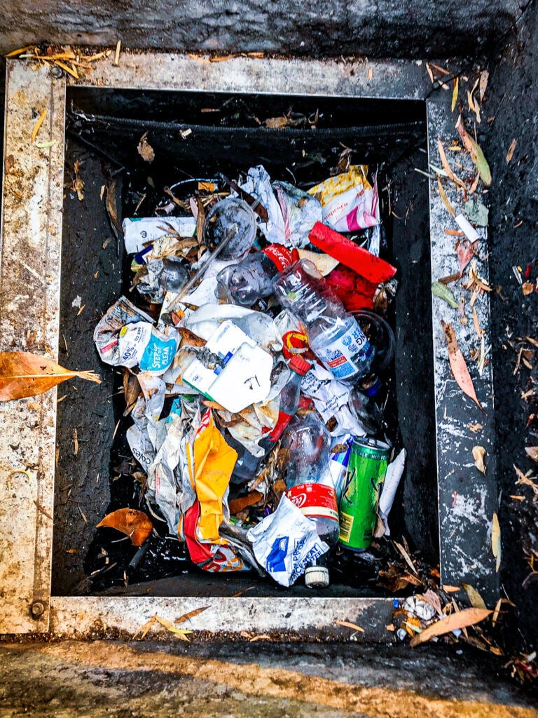 Litter-captured-by-a-Drain-Buddy-768x1024