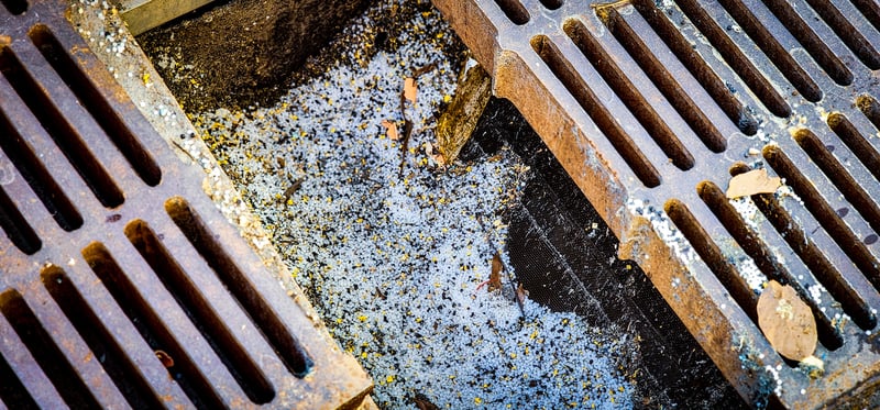 Plastic-captured-by-Drain-Buddy