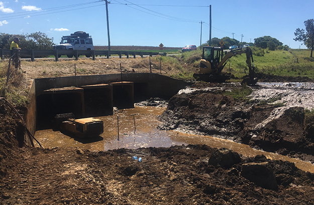 TWEED SHIRE COUNCIL: THE LIGHT AT THE END OF THE CULVERT
